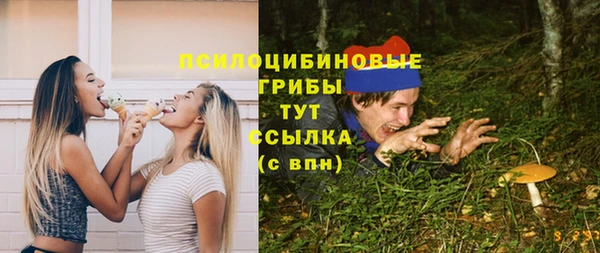 spice Арсеньев