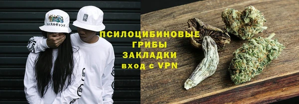 винт Армянск