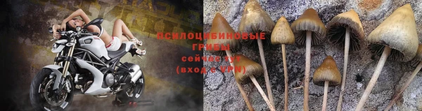 винт Армянск
