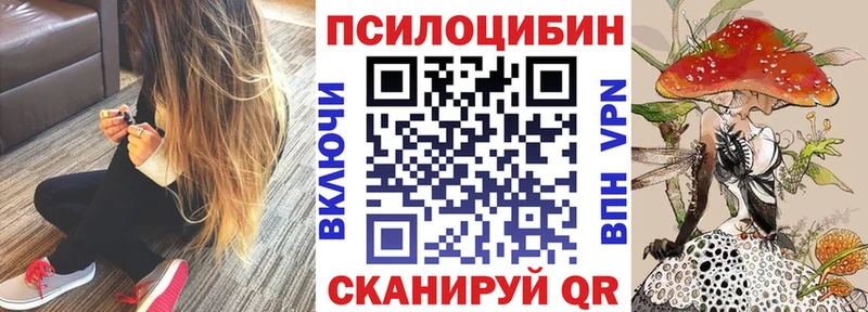 Псилоцибиновые грибы мицелий  MEGA как зайти  shop формула  Саки 