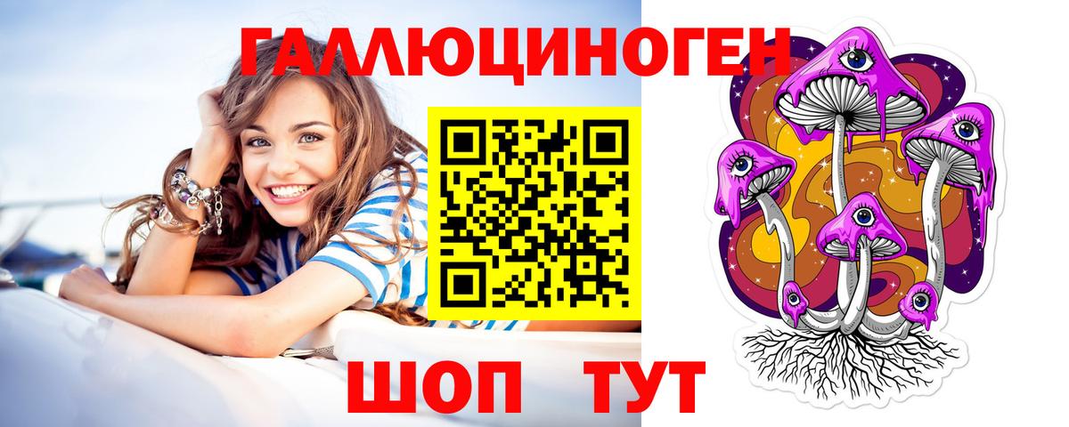 где купить   Псилоцибиновые грибы Psilocybe  Вход с VPN  Саки 